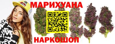 a pvp Бийск