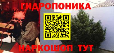 мдпв Берёзовский