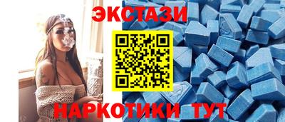 a pvp Бийск