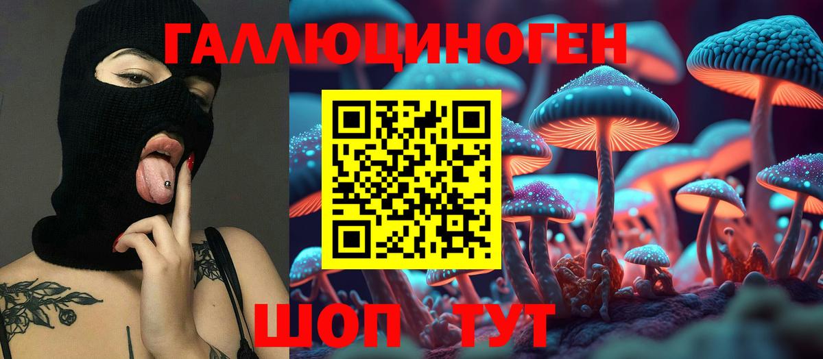 Кандалакша  Галлюциногенные грибы Cubensis  Вход с VPN 